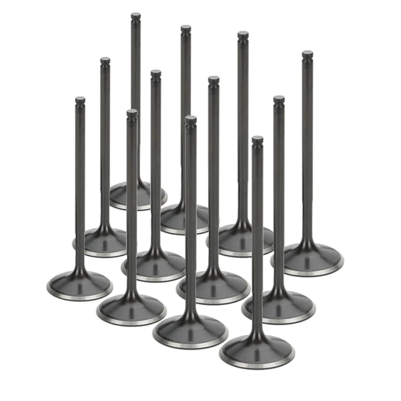 Fynd Supertech Black nitride insugsventiler RB25 R33 12st